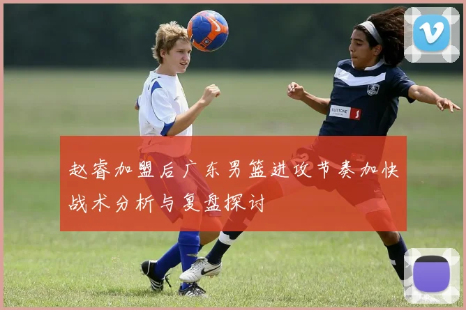 赵睿加盟后广东男篮进攻节奏加快战术分析与复盘探讨